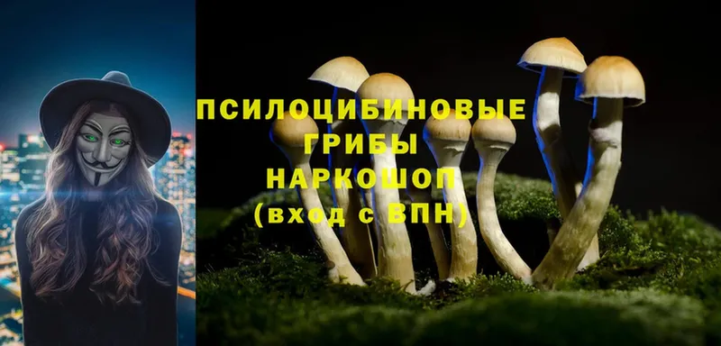 как найти наркотики  Белоярский  Галлюциногенные грибы Magic Shrooms 